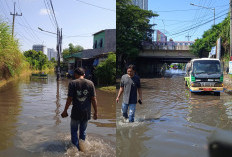 Juni Harusnya Kemarau, Anomali Cuaca Bikin Surabaya Tergenang Banjir dan Rob