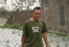 Berkat Program MBG, Petani Boyolali ini Bisa Salurkan hingga 40 Kg Selada