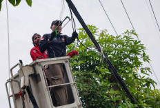 Tak Berizin dan Tak Bayar Sewa, Kabel FO Semrawut di Surabaya Ditertibkan Pemkot