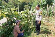 Bhabinkamtibmas Sine Dampingi Petani Ceme untuk Perkuat Ketahanan Pangan Warga Ngawi