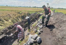 Babinsa Dawuhan Wetan Bangun Drainase Irigasi di Lumajang Perkuat Ketahanan Pangan