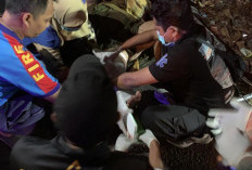 Pengendara Motor Luka Parah Usai Kecelakaan di Perak Barat Surabaya