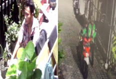 2 Minggu 3 Motor di Petemon Surabaya Raib, Pelaku Diduga Orang Dekat