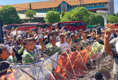 Peternak Ayam Petelur Geruduk DPRD Jatim, Protes Harga Anjlok