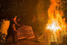 Operasi Cipta Kondisi, Polres Kediri Tertibkan Arena Judi Sabung Ayam di Plemahan