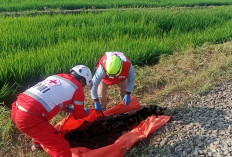 Warga Bantaran Kota Malang Tewas Tersambar Kereta Api Malabar