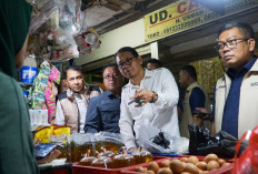 Bulog Jatim Klaim Harga Pangan Tetap Terkendali, Pasokan Beras dan MinyaKita Stabil