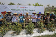 Peringati Hari Tani, Bupati Setyo Wahono Targetkan Bojonegoro Jadi Lumbung Pangan
