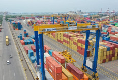 Arus Peti Kemas TPS Tumbuh 11,79 Persen pada Juli 2026