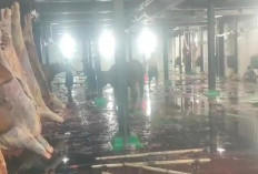 Wali Kota Eri Cahyadi Buka Pintu Lebar bagi Jagal Baru di RPH Tambak Osowilangun