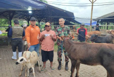 Bantuan Ternak Tahap Kedua Disalurkan untuk Buruh Tani Situbondo Terdampak Pembangunan Bandara KASA