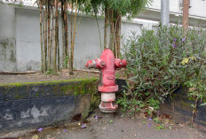 Antisipasi Kebakaran, Pemkab Jombang Wajibkan Rekomendasi Damkar dalam PBG dan SLF