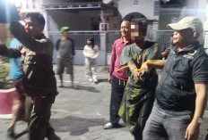 Ngamuk di Perumahan Kebomas, Pria ODGJ Dievakuasi Dinsos Gresik