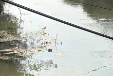 Lansia 80 Tahun Diduga Terpeleset di Belakang Asrama Polri, Ditemukan Tewas di Sungai Kalimas 