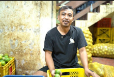 Efek Domino Program MBG, Omzet Pedagang Jeruk di Solo Melonjak hingga 1 Ton per Hari