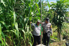 Dukung Asta Cita Presiden, Polsek Sine Ngawi Galakkan Patroli Pekarangan Pangan Bergizi