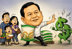 Pemerintah Jamin Stabilitas Harga Beras SPHP Meski Dolar AS Menguat