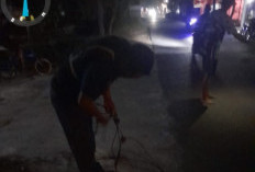 Bahaya! Kabel PJU Turi Putus di Tengah Jalan, Dishub Lamongan Gerak Cepat