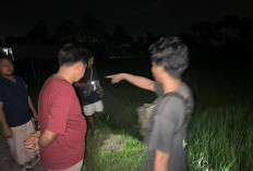Driver Ojol Dibegal Penumpang di Menganti Gresik, Motor Dibawa Kabur Usai Dipukul Kayu