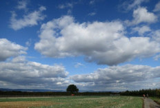 Prakiraan Cuaca Jatim 3 April 2026 Cerah Berawan di Seluruh Wilayah