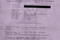 Outlander yang Dikemudikan Erica Ternyata Atas Nama Randy Soelyaman, Nunggak Pajak 2 Tahun