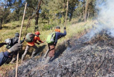 Cegah Karhutla Meluas, Polsek Nongkojajar Perketat Pengawasan di Perbatasan Pasuruan