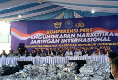 BNN Ungkap 3,37 Ton Ganja di Gresik, Diduga Jadi Bahan Baku Cairan Rokok Elektrik