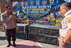 Dittipidter Bareskrim Gagalkan Penyelundupan 3.394 Burung di Sidoarjo