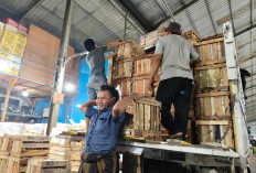 Jam Operasional Tak Relevan, Pedagang Pasar Buah Tanjungsari Protes: Bisa Matikan Perekonomian