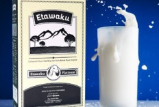 Mengenal Parameter Keamanan dan Adaptasi Tubuh terhadap Konsumsi Nutrisi Fungsional dalam Jangka Panjang