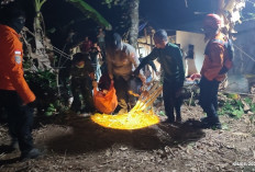 Dua Penggali Sumur di Trenggalek Tewas Tertimbun Longsor, Dievakuasi dari Kedalaman 20 Meter
