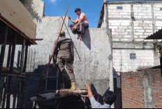 Ngamuk dan Naik Atap Rumah Warga, Pria Depresi Bawa Sajam Dievakuasi Damkar Gresik