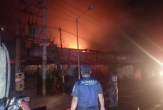 Kebakaran Pabrik Pakan Ternak di Mojowarno, Kerugian Ditaksir Capai Rp2 Miliar