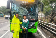 Sopir Hilang Konsentrasi, Bus Trans Jatim Tabrak Truk di Tol Satelit