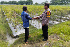 Dukung Ketahanan Pangan di Ngawi, Polsek Geneng Patroli Pekarangan Bergizi 