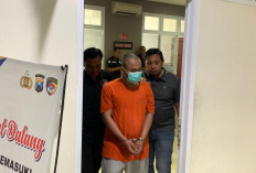 Jual Kendaraan Demi Judol dan Sabu, Residivis Asal Panceng Dibekuk Polres Gresik
