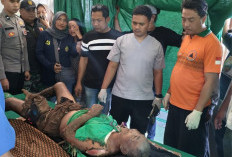 Ironis, Petani Lansia Pasuruan Tewas Terpanggang Saat Berusaha Padamkan Api di Kebun 