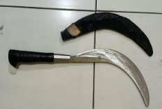 Lumpuhkan Joki Curanmor dengan Timah Panas, Polres Pasuruan Kota Buru Satu Pelaku DPO