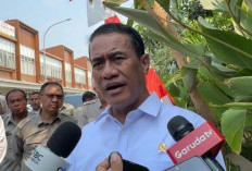 Pemerintah Jaga Produksi Padi di Tengah Ancaman El Nino 2026