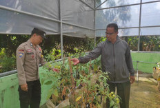 Bhabinkamtibmas Widodaren Ajak Warga Optimalkan Lahan Produktif untuk Ketahanan Pangan