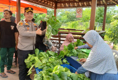 Dukung Ketahanan Pangan, Polres Pelabuhan Tanjung Perak Panen Sawi Hidroponik dan Berdayakan Ekonomi Warga