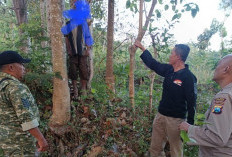 Sempat Hilang Sehari, Kakek di Situbondo Ditemukan Tewas Tergantung di Pohon