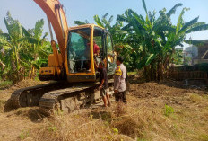 Polres Pelabuhan Tanjung Perak Optimalkan Lahan Jagung di Tambak Wedi
