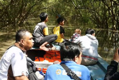 Menikmati Sensasi Amazon di Surabaya Timur, Wisata Susur Sungai Kejawan Putih Tambak Kian Memikat Wisatawan