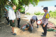Polisi Gerebek Arena Sabung Ayam di Pasuruan,  5 Ekor Jago Diamankan