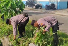 Antisipasi Banjir, Tiga Pilar Kalitidu Kompak Gelar Karya Bakti Bersihkan Gorong-gorong