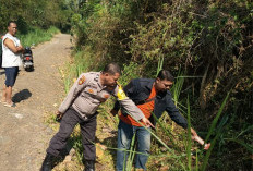  Cari Pakan Ternak, Warga Lumbang Pasuruan Tewas Terjatuh dari Pohon Nangka