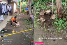 Geger Temuan Jasad Bayi di Sumberpucung, Terbongkar Akibat Diseret Anjing