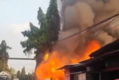 Kebakaran di Kawasan Jembatan Babat-Widang, 7 Damkar Dikerahkan