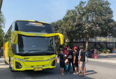 Harga Telur Anjlok, 500 Peternak Ayam Blitar Geruduk Jakarta Tuntut Solusi Pemerintah